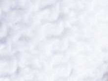 photo bebe blanc douceur et naturel vigneux sur seine