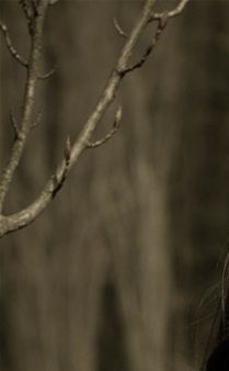 shooting-grossesse-couple-parc-essonne