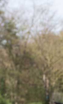 photo-grossesse-couple-vigneux-sur-seine
